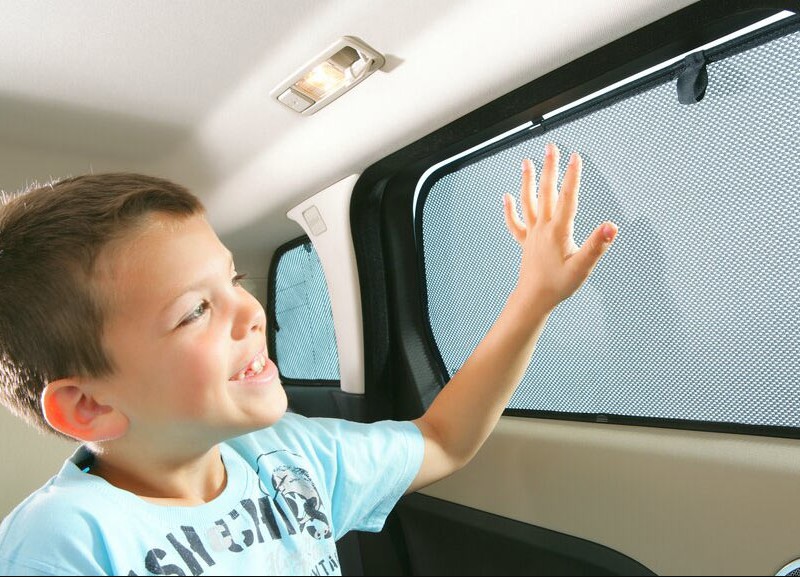 car sunshades